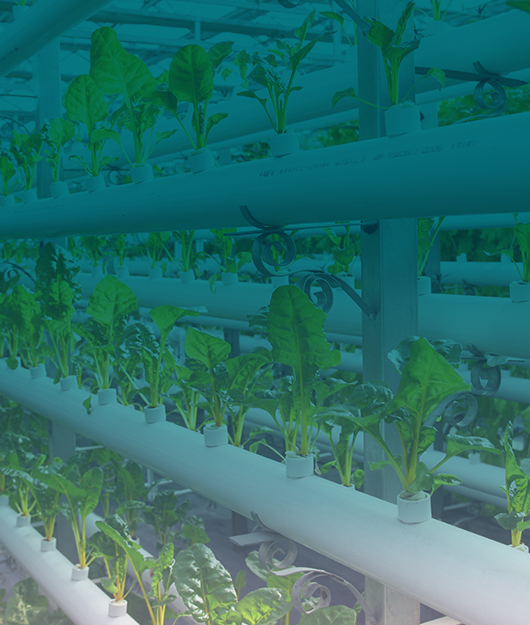 學(xué)校食堂食品安全必備儀器設(shè)備清單表